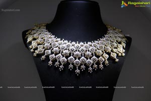 Malabar Artistry Branded Jewellery Show