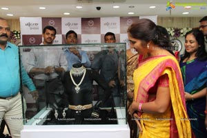 Malabar Artistry Branded Jewellery Show