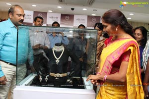 Malabar Artistry Branded Jewellery Show