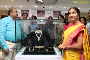 Malabar Artistry Branded Jewellery Show