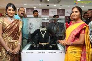 Malabar Artistry Branded Jewellery Show