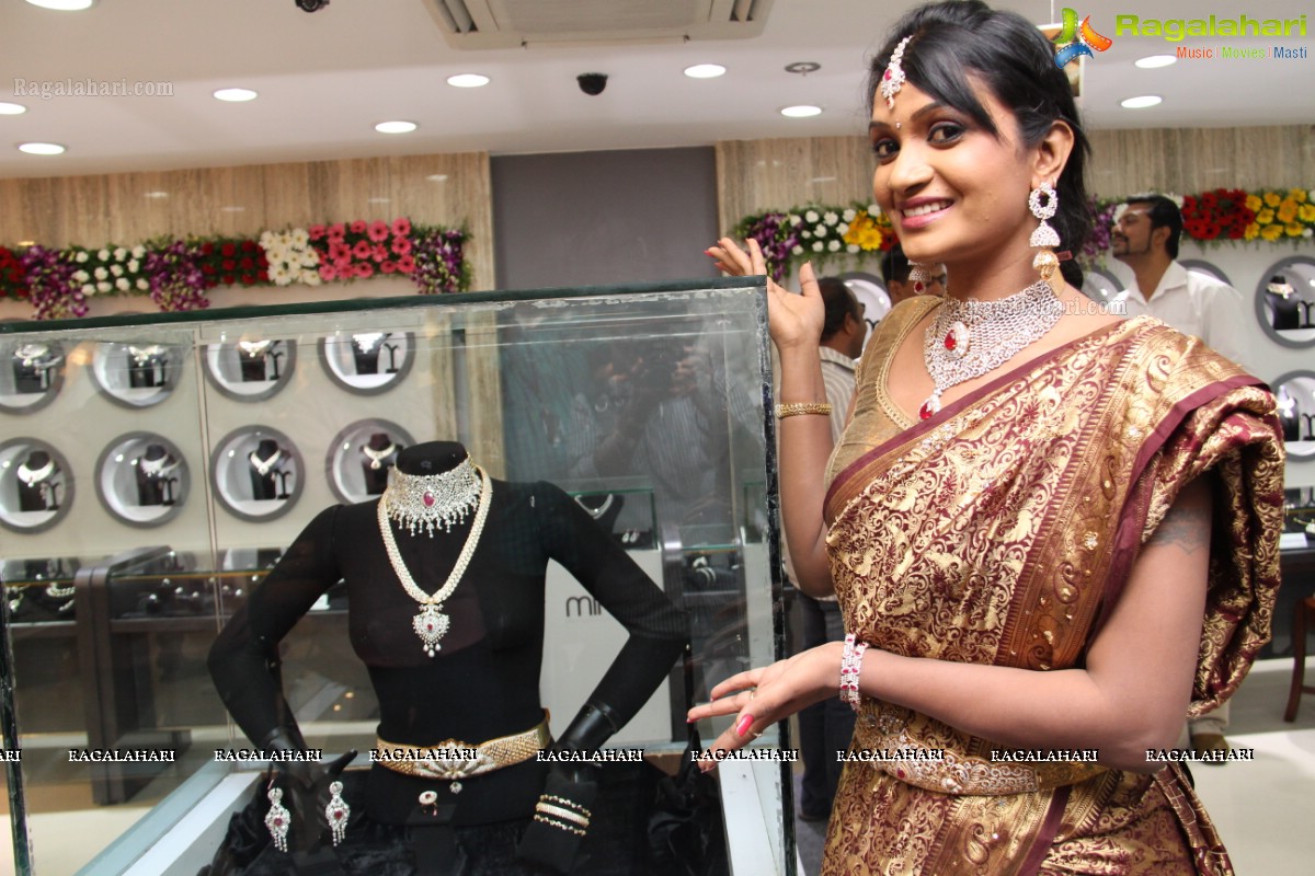 Malabar Artistry Branded Jewellery Show 2014, Hyderabad