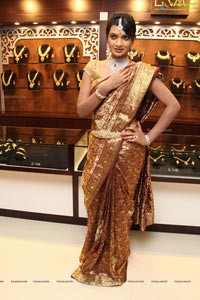 Malabar Artistry Branded Jewellery Show