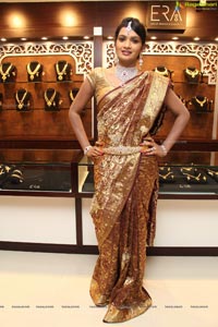 Malabar Artistry Branded Jewellery Show