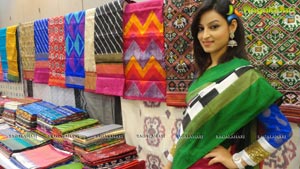 Pochampally Ikat Art Mela