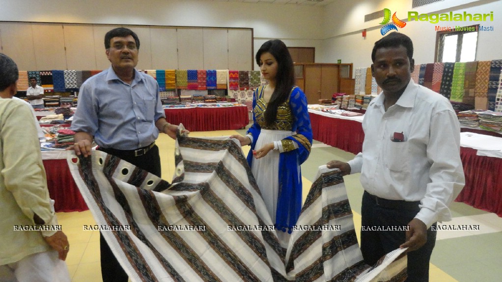 Pochampally Ikat Art Mela Begins at New Delhi