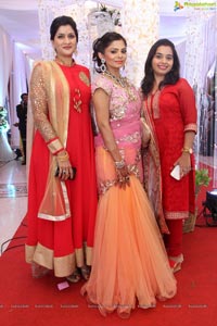 Prateek-Kanupriya Wedding