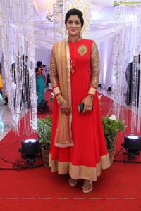 Prateek-Kanupriya Wedding