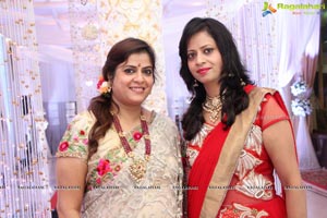 Prateek-Kanupriya Wedding