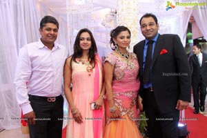 Prateek-Kanupriya Wedding