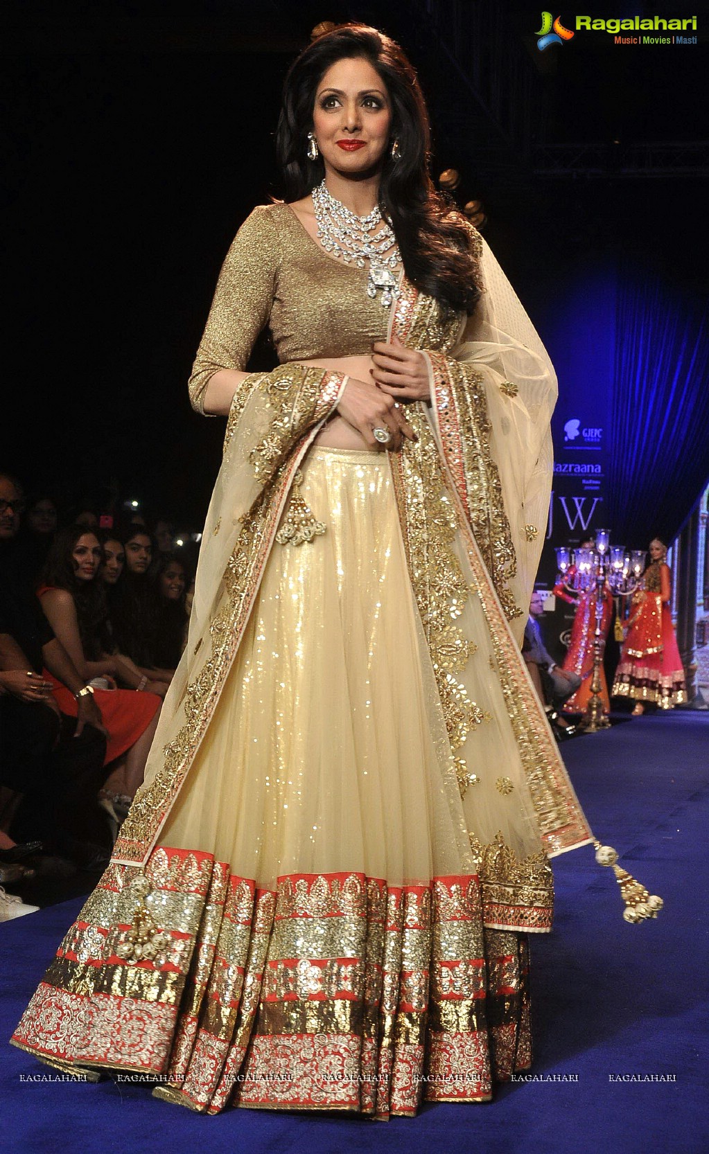 Vijay Golecha Collections at IIJW 2014