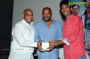 Dhanalakshmi Thalupu Thadithe Platinum Disc