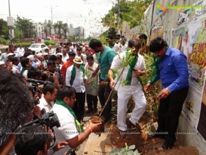 Haritha Haram