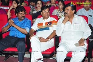 Srimanthudu Audio Release Photos