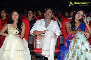 Srimanthudu Audio Release Photos