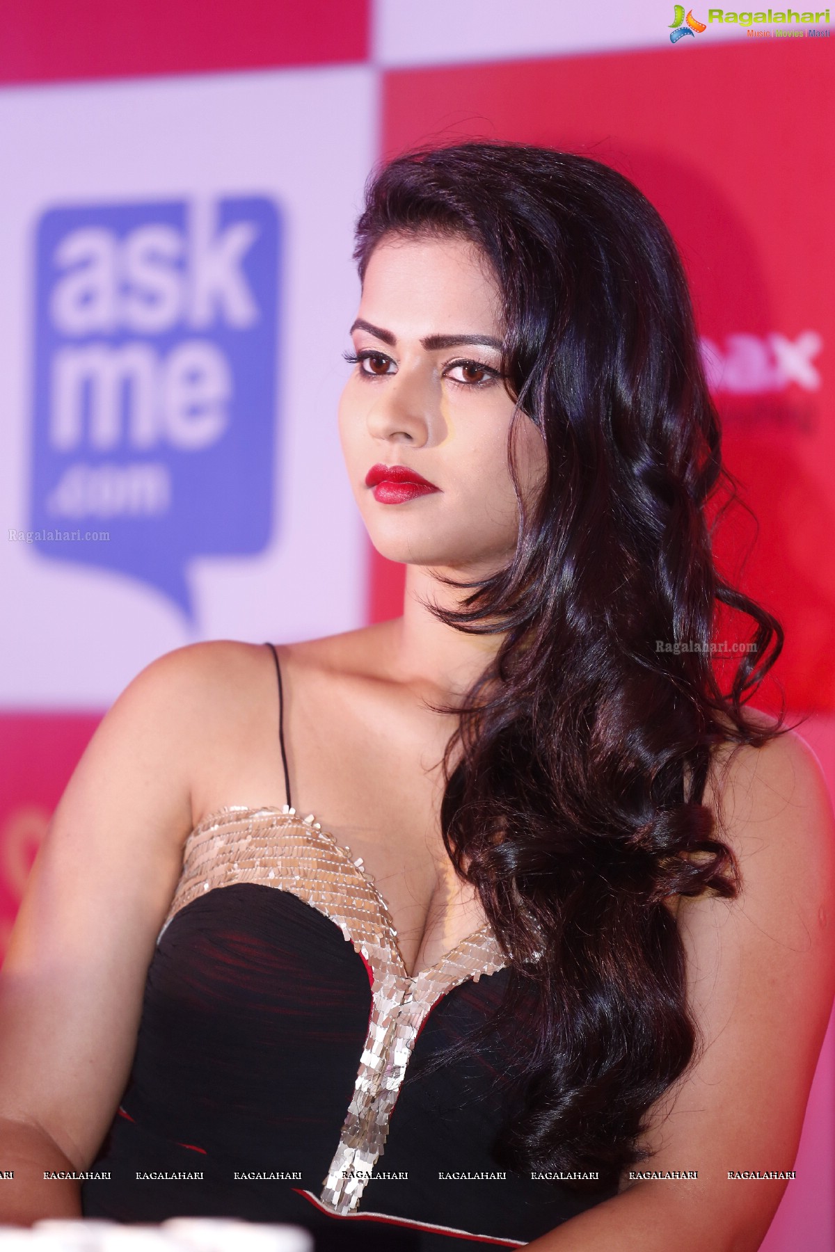 SIIMA 2015 Press Meet, Hyderabad