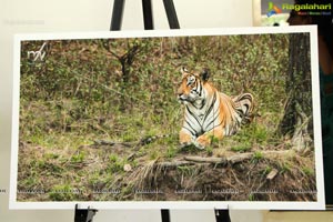 World Tiger Day Celebrations by Aircel