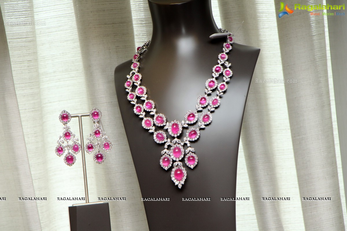 Diacolor Rare Jewels Showcase by Pinky Reddy and Ruchika Mehta at Park Hyatt