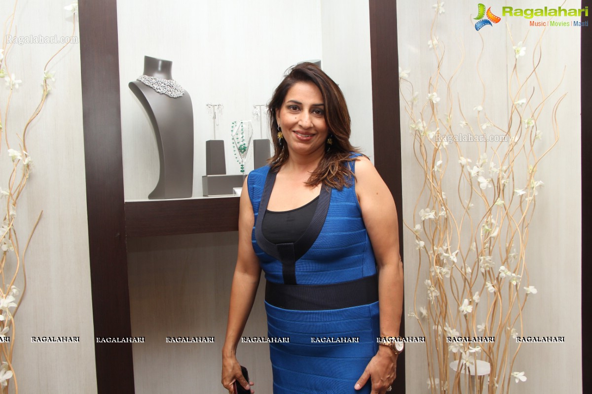 Diacolor Rare Jewels Showcase by Pinky Reddy and Ruchika Mehta at Park Hyatt