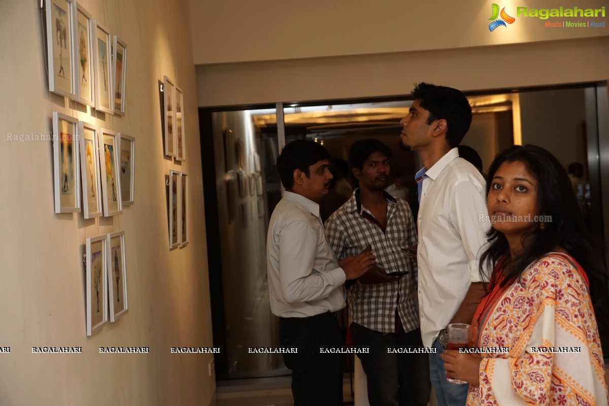 When I fall, I fly - An Exhibition at Kalakriti Art Gallery