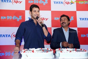 Mahesh Babu at Tata Sky Success Event 