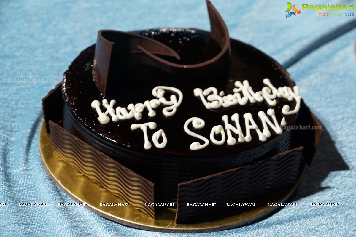 Sohan Birthday Bash 2015 at Secret Roof Top Pool Party, Hyderabad