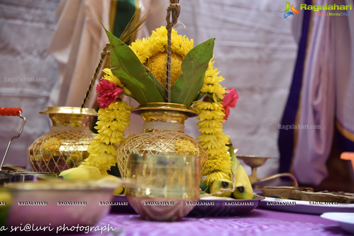 Sri Srinivasa Kalyanam at TANA 2015