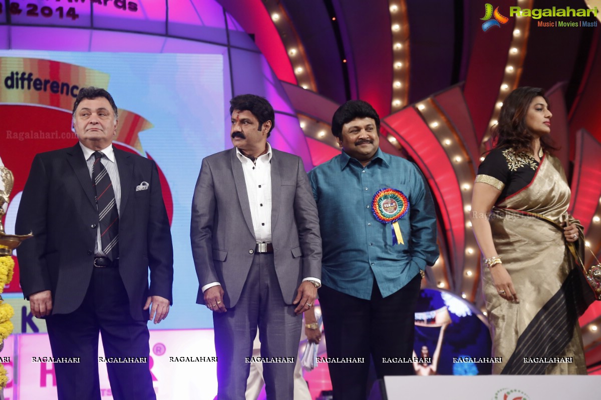 TSR-TV9 National Film Awards 2013-2014