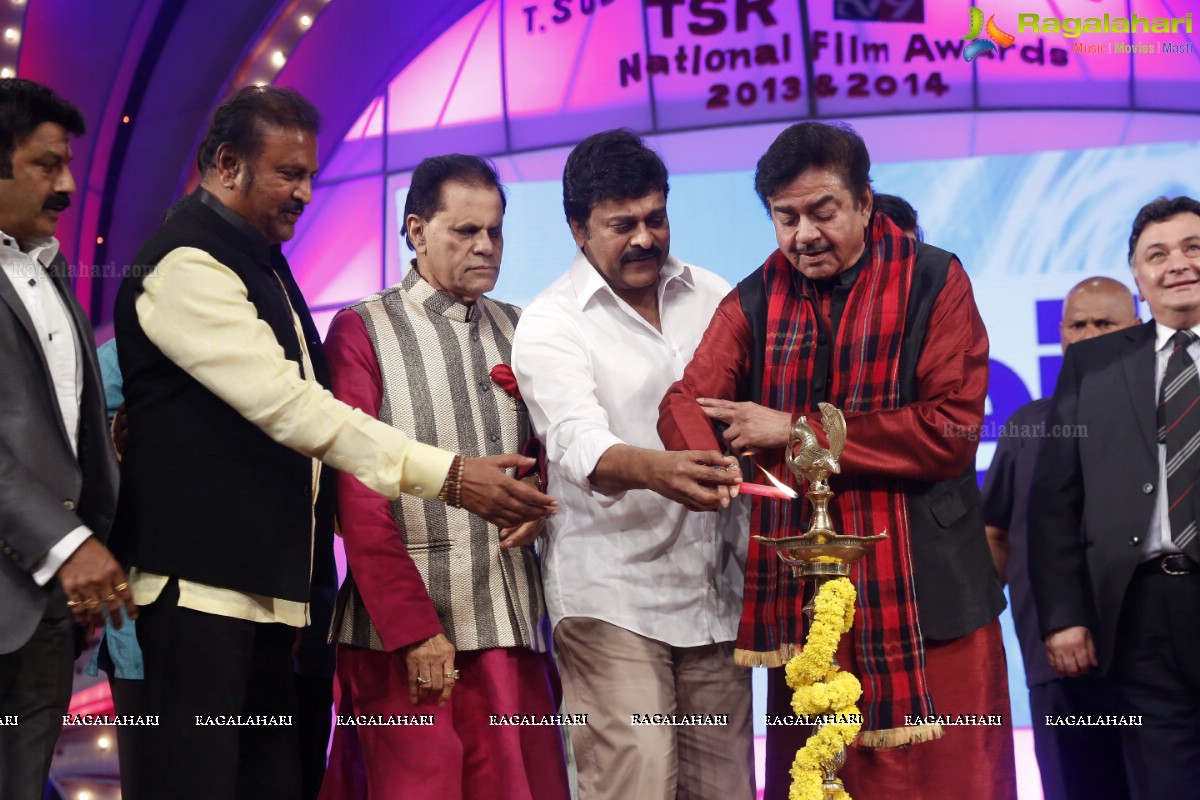 TSR-TV9 National Film Awards 2013-2014