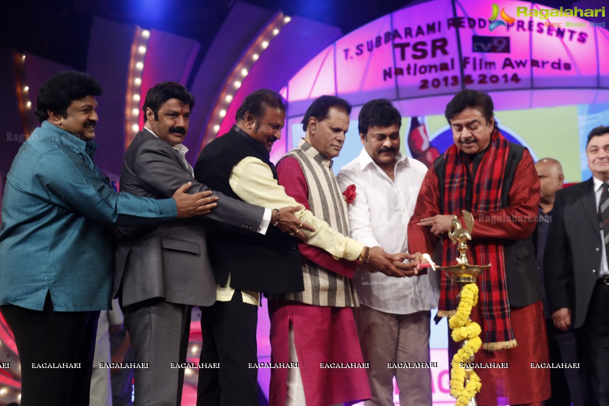 TSR-TV9 National Film Awards 2013-2014