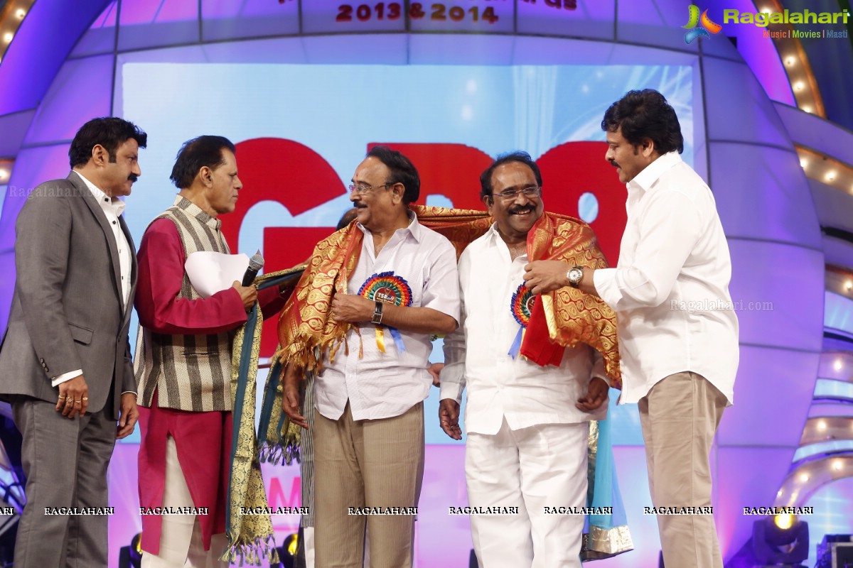 TSR-TV9 National Film Awards 2013-2014