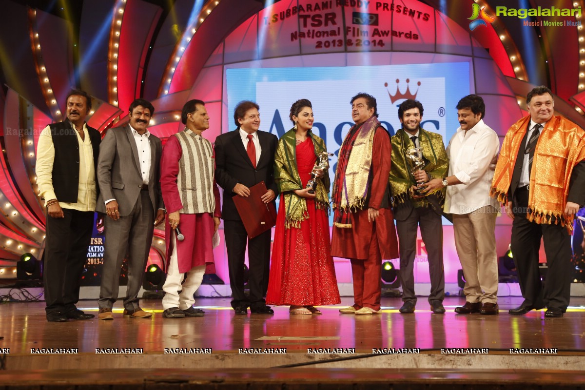 TSR-TV9 National Film Awards 2013-2014