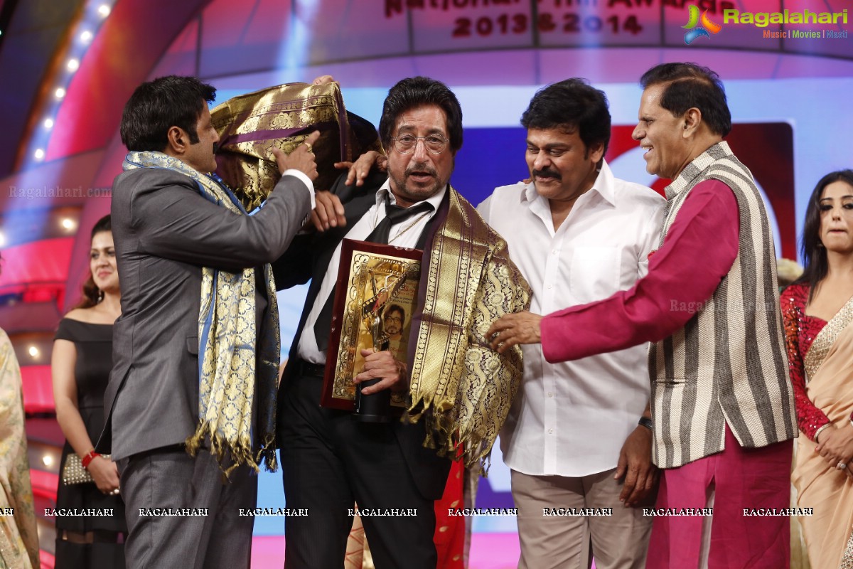 TSR-TV9 National Film Awards 2013-2014