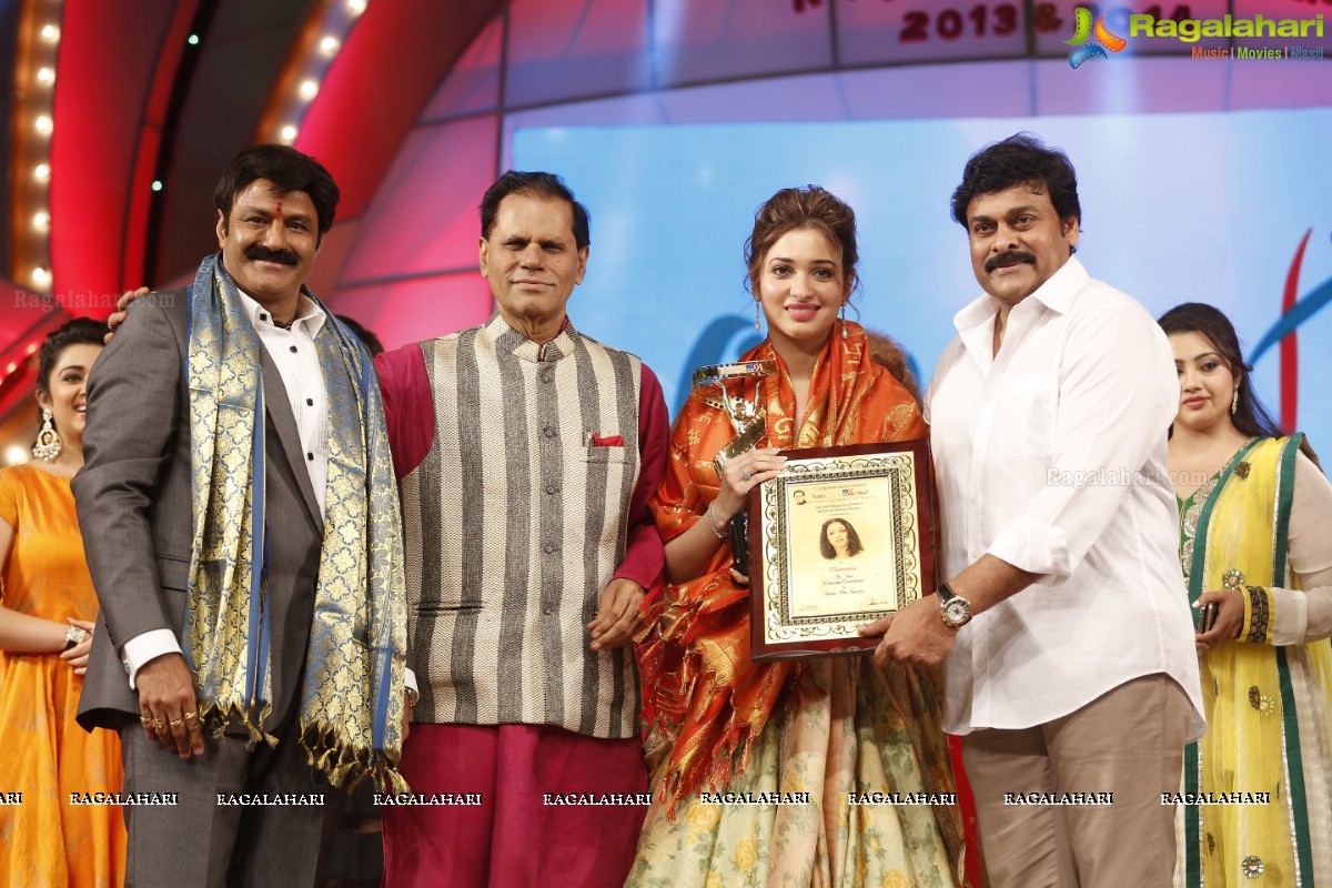 TSR-TV9 National Film Awards 2013-2014