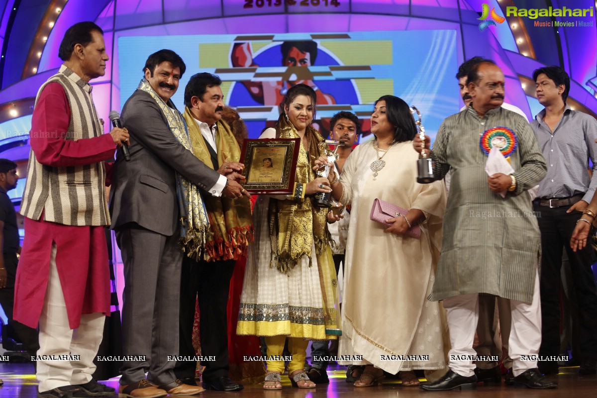 TSR-TV9 National Film Awards 2013-2014