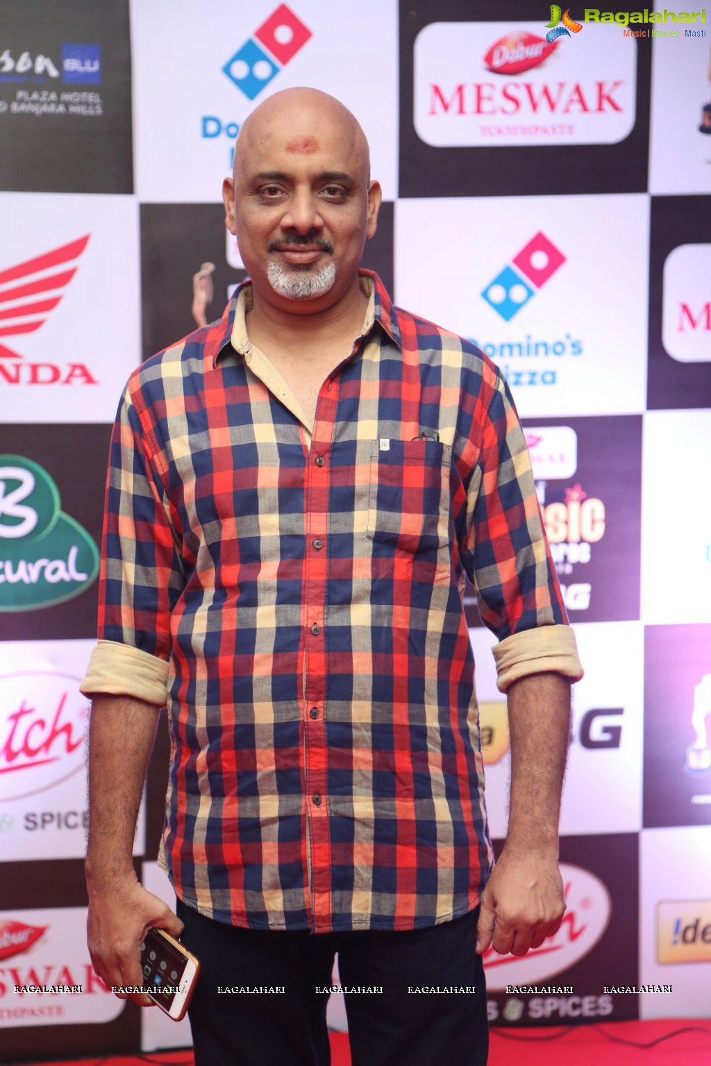 Celebrities at Mirchi Music Awards South 2015 (Set 1)