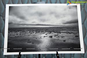 Arctic Svalbard Photo Showcase