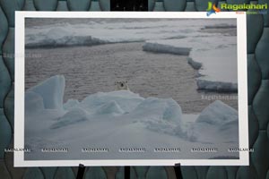 Arctic Svalbard Photo Showcase