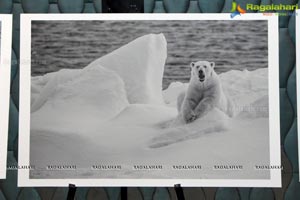 Arctic Svalbard Photo Showcase