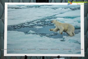 Arctic Svalbard Photo Showcase