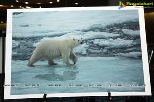 Arctic Svalbard Photo Showcase