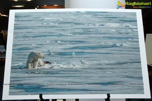 Arctic Svalbard Photo Showcase