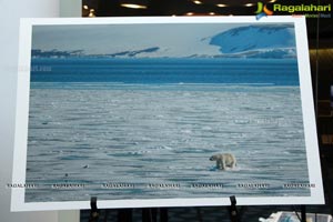 Arctic Svalbard Photo Showcase