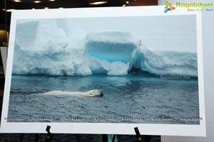 Arctic Svalbard Photo Showcase