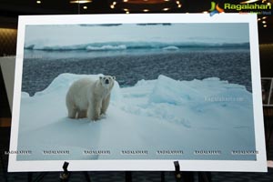 Arctic Svalbard Photo Showcase