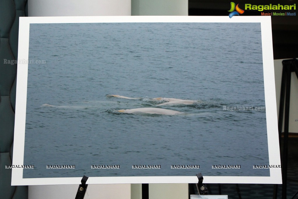 Arctic Svalbard Photo Showcase by Gopi Raju, Dhevin, Suresh Chitturi, Gautam Birudavolu, GV Prasad at Hotel Avasa