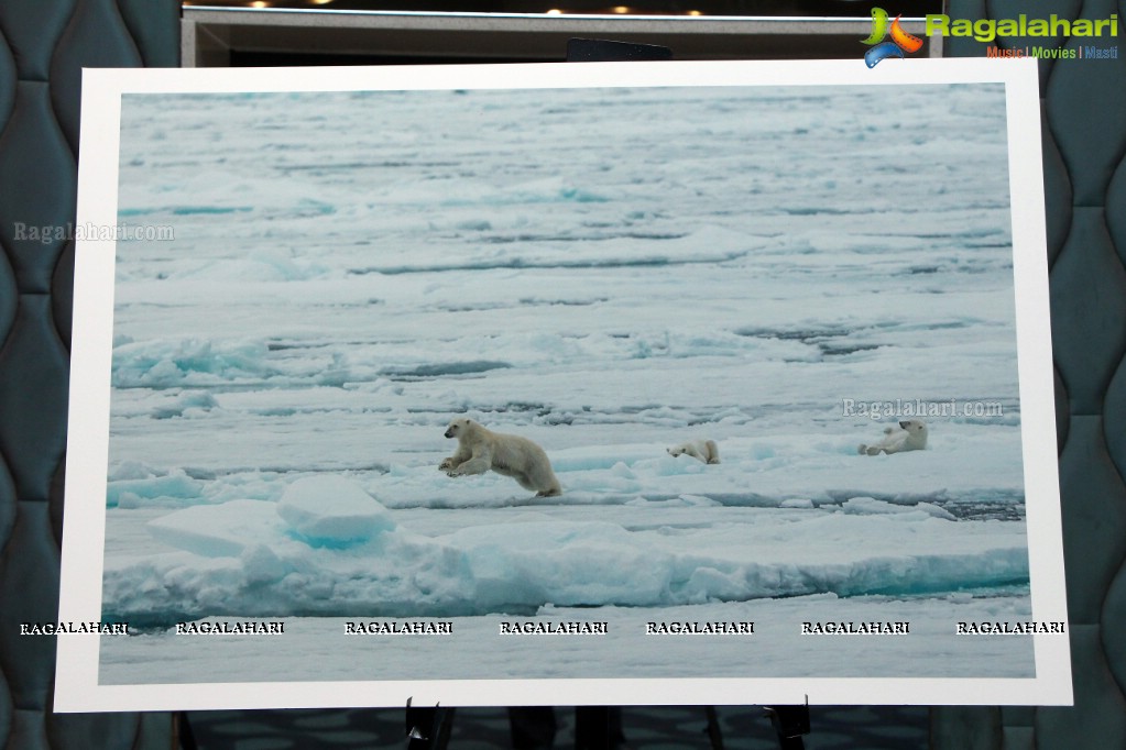 Arctic Svalbard Photo Showcase by Gopi Raju, Dhevin, Suresh Chitturi, Gautam Birudavolu, GV Prasad at Hotel Avasa