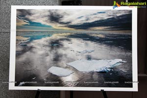 Arctic Svalbard Photo Showcase