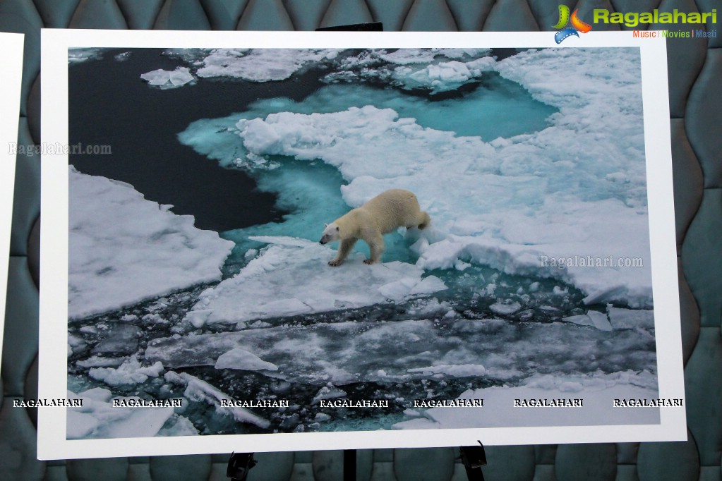 Arctic Svalbard Photo Showcase by Gopi Raju, Dhevin, Suresh Chitturi, Gautam Birudavolu, GV Prasad at Hotel Avasa