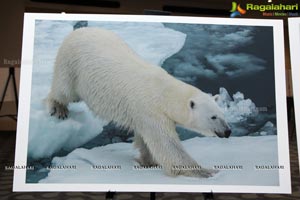 Arctic Svalbard Photo Showcase